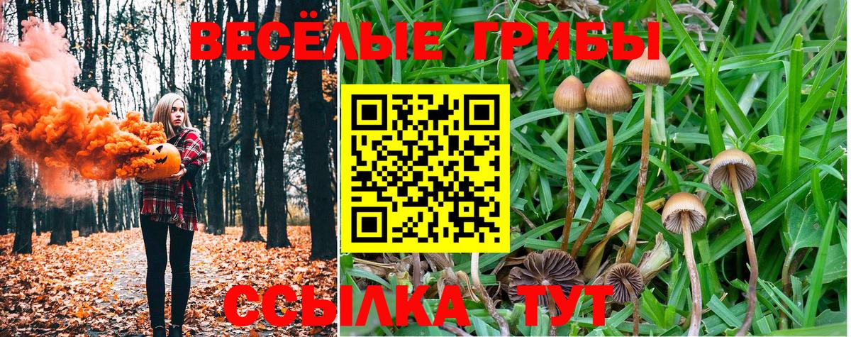 Псилоцибиновые грибы мухоморы Вичуга